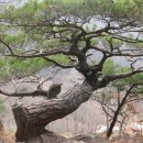 소요산탑 이미지