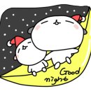 땡자애견 네이버블로그