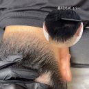 이즈메이 부산본점 이미지