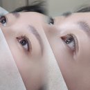 미모다뷰티둔산 | ♥리뷰 : 꼼꼼한 시술 대전 속눈썹연장 후기 / 지족동 미모다뷰티노은점