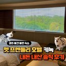소심공주동물약국 | 경주 애견동반 숙소 키녹 내돈내산 솔직 후기