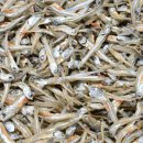 태형상회 이미지