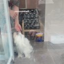 뽀그리멍 이미지