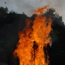 (주)알앤엘바이오 이미지