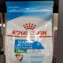 갈마애견 이미지