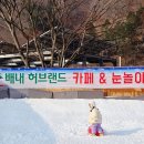 배내허브랜드 이미지