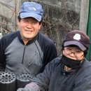 육림연탄 이미지