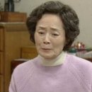 김영애 이미지