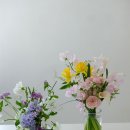 스튜디오모앙