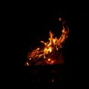 자라섬캠핑장 이미지