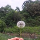 소소소 이미지
