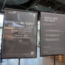 리틀모모야&골든키친