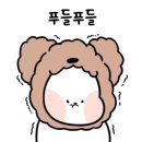 키누카누(강서점) 이미지