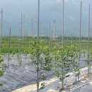 너울농장 이미지