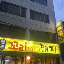 원조꼬리치는돼지 이미지