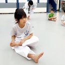 백호 태권도 이미지