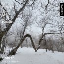 무릉도원면-51 네이버블로그