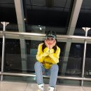 이지모아 네이버블로그