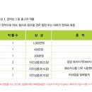 페리카나4 이미지