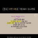 커피썬 이미지