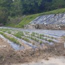 대지부동산중개인사무소 이미지