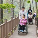 제암산자연휴양림 이미지