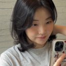 인생머리 이미지
