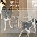 가야로 463번길 이미지