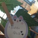 오알지카페 이미지