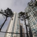 송내래미안공인중개사사무소 이미지