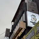 [마포구/서교동] 홍대 만두바 내돈내산 교자, 만두 존맛집에서 메뉴 9개 먹은 후기, 또갈집 추천