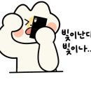 보민내과의원 이미지