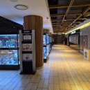 웰메드 | 주말 데이트는 주토피아와 함께! 롯데시네마 프리미엄칠곡 '주토피아2'관람 후기(스포X)