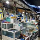 21호재진이네 이미지