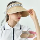 페르시안 캣 이미지