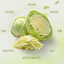 디티팜