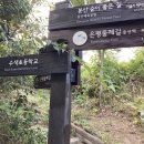 수향정 이미지