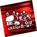 대지샾 쇼핑하우