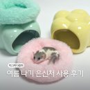 햄스터 여름나기 도자기 은신처 (피그미다람쥐 케꾸 후기)