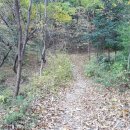 팔용초등학교 이미지