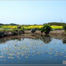 김석린 진사 생가 이미지