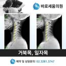 바로세움정형외과의원 이미지