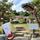 코코블링 | 경기 고양 애견 동반 베이커리 카페 유럽 감성 야외 테라스가 있는 로더우드 후기