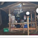 금관절경 이미지