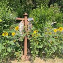 아미캠핑장 이미지