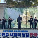 사회적협동조합느루걸음