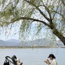 뚜레쥬르 부산화명점 | 부산 화명생태공원 피크닉 명소 |산책코스까지 완벽 추천🌸