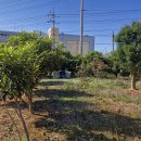 삼산면-2 이미지