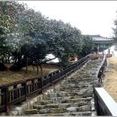 동백정 티스토리