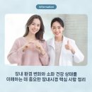 당앤장내과의원 | 장내 환경 변화와 소화 건강 상태를 이해하는 데 중요한 장내시경 핵심 사항 정리